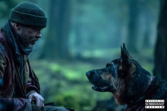 Brad Pitt e o cachorro Odin em cena de sobrevivência em Coração Selvagem