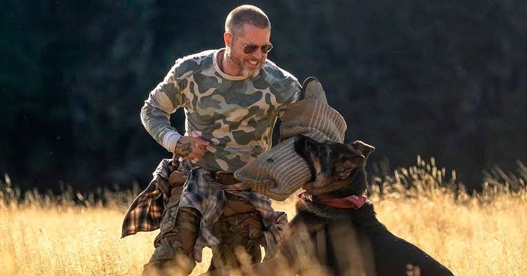 Odin morre em Coração Selvagem: cena do cachorro com Brad Pitt no filme